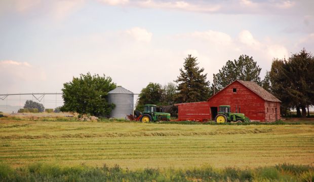 Barn